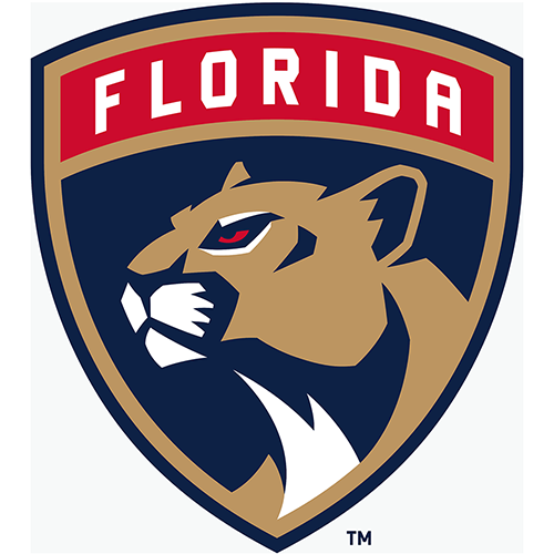 Florida Panthers iron ons